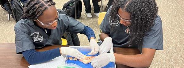 健康科学 students during an investigation activity